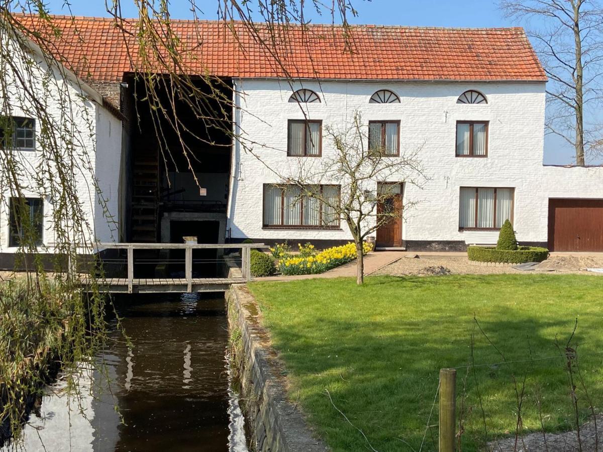 Vakantiewoning Wurfeldermolen Maaseik Eksteriør bilde