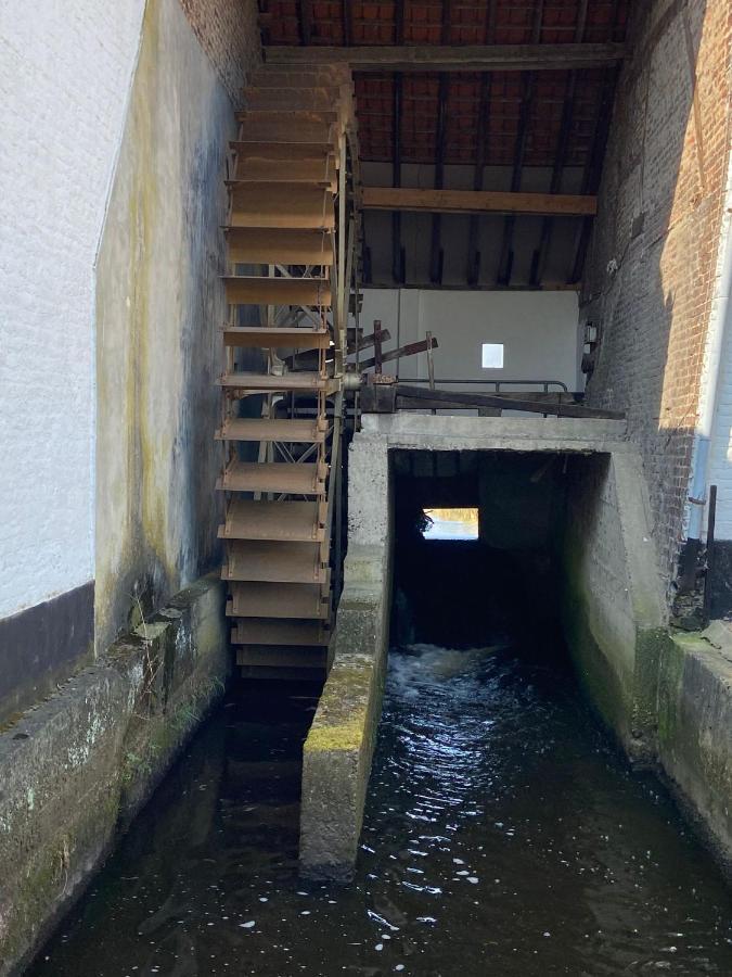 Vakantiewoning Wurfeldermolen Maaseik Eksteriør bilde