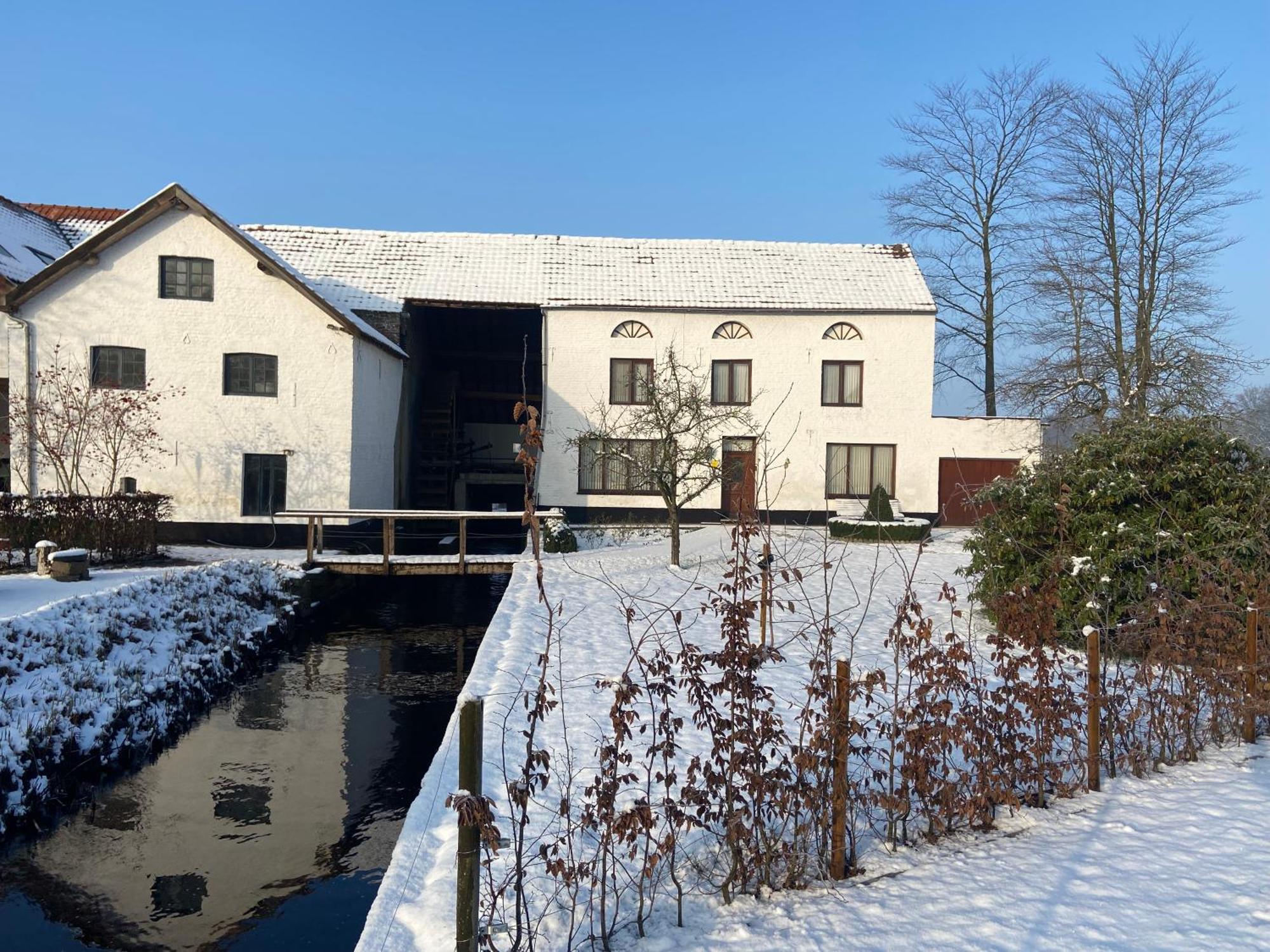 Vakantiewoning Wurfeldermolen Maaseik Eksteriør bilde
